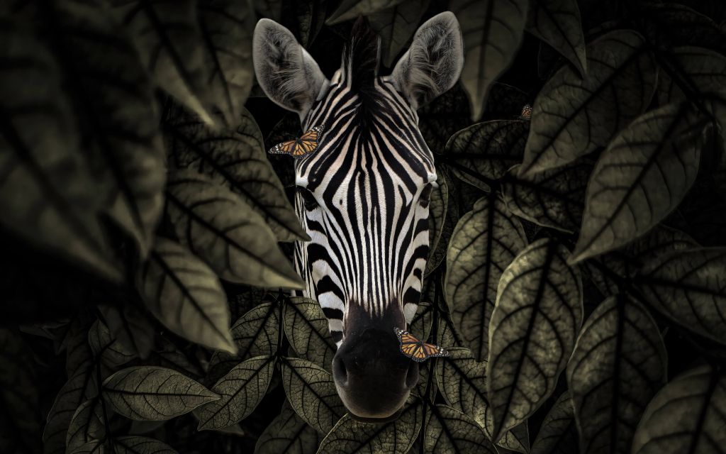Zebra w dżungli