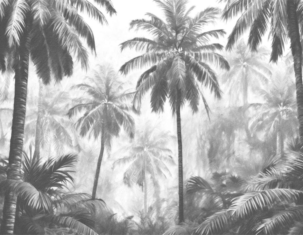 Mglisty Las Palmowy