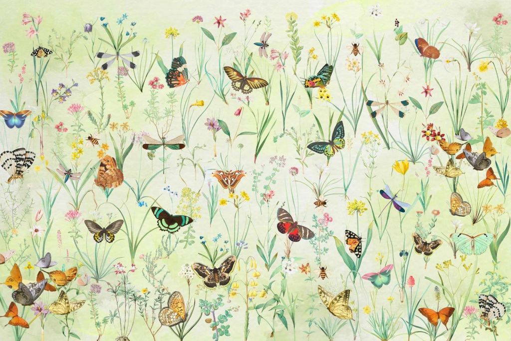 Meadow of Butterflies